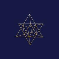 geometrisch Star Vektor Kunst Logo
