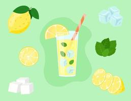 Limonade im Glas isoliert. Zitronenscheiben im Schnitt. Zutaten für ein frisches Sommergetränk. Vektor-Illustration vektor
