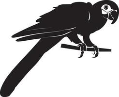 papegoja vektor silhuett illustration