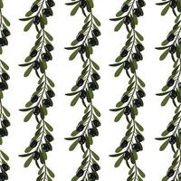 oliv mönster, svart oliv kvist vektor