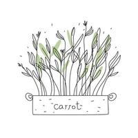 Karotte Microgreens Box Gekritzel Vektor Illustration