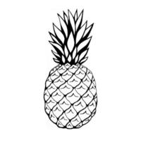 vektor handritad ananas, frukt. dekorativ retrostil samling gård produkt restaurangmeny, marknadsetikett.