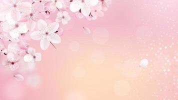 Sakura perfekter Hintergrund Kirschhintergrund vektor