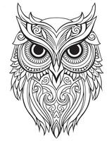 Uggla fågel färg bok för vuxna vektor, digital mandala illustration av Uggla, vit bakgrund, rena linje konst, tatuering och skriva ut design vektor