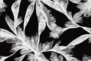 teckning sömlös trendig ändlös illustration rand ornamentetnicitet textil- trädgård skön dekorativ sommar vektor ändlös botanisk mode färgrik ogee , svart vit leafs växt skugga