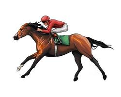 Pferderennen mit einem Jockey aus Aquarellspritzern, farbiger Zeichnung, realistisch, Reiten. Vektor-Illustration von Farben vektor