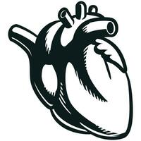 Silhouette Mensch Herz intern kardiovaskulär Organ vektor