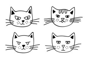 Hand gezeichnet Katze Schnauze Clip Art. süß Haustier Gesicht Gekritzel einstellen vektor