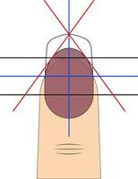 Zeichnung Diagramm Vorlage zu erstellen modisch Nagel gestalten Maniküre Salon vektor