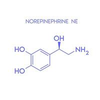 Noradrenalin strukturell chemisch Formel isoliert auf Weiß Hintergrund. Hormon Melatonin fördern tief schlafen. medizinisch wissenschaftlich Konzepte. Vektor eps10 Illustration.