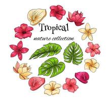 tropisk samling med exotiska blommor och snidade blad i tecknad stil vektor