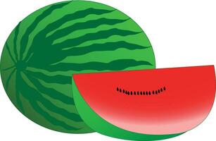 vattenmelon vektor design konst i illustratör .