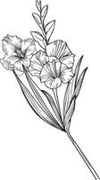 August Geburt Blume Gladiole, Gladiole tätowieren schwarz und Weiß Vektor skizzieren Illustration von Blumen- Ornament Strauß von Gladiole Franziska Einfachheit Verschönerung, Zentangle Design Element zum Karte