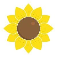 Sonnenblume im eben Stil Vektor isoliert.