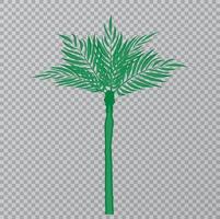 schönes Palmenblatt auf transparenter Hintergrundvektorillustration. eps10 vektor