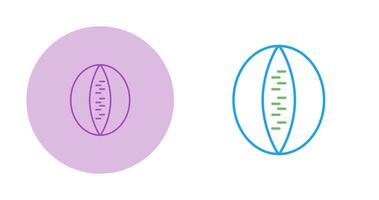sten melon vektor ikon