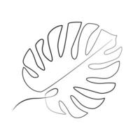 ett linje teckning monstera blad isolerat på vit. hand dragen vektor botanik illustration. elegant och minimalism tropisk design konst för utskrift, Kläder, affisch, dekoration.