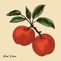 årgång äpple vektor stock illustration, hand dragen årgång äpple vektor