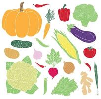 Vektor Hand gezeichnet einstellen von farbig Gemüse