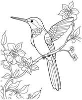 kolibri färg sida för barn vektor