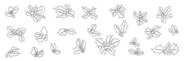 Sammlung von Stechpalme Beere im Gekritzel Stil. isoliert Hand gezeichnet Stechpalme Beere Symbole Satz, isoliert auf Hintergrund. Weihnachten Dekor. Vektor Illustration.