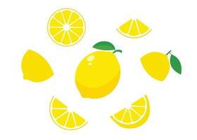 citron- frukt platt vektor
