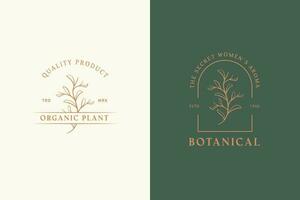 organisch Pflanze Blumen- und botanisch feminin Logo Sammlung. elegant Vektor Vorlage zum ein florist, handgemalt Schönheit, organisch Kosmetika, Spa, Salon, Fotografie, Boutique, und Hochzeit.