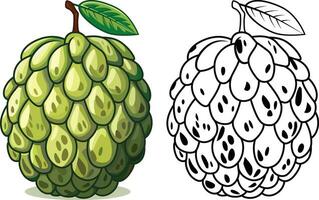 annona frukt vektor illustration, cherimoya, sursopa, tjock vaniljsås äpple, atemoya, och papaya färgad och svart och vit linje konst stock vektor bild
