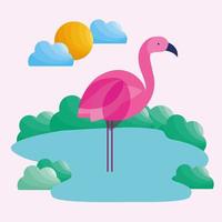 flamingo på vatten vektor