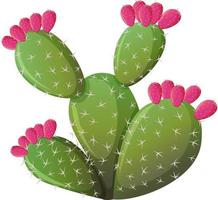 stacheliger Kaktus im Cartoon-Stil isoliert auf weißem Hintergrund vektor