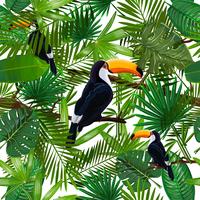 Vektor sömlösa mönster med tropiska löv och fågel toucan på en gren på transparent bakgrund.