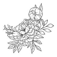 pion linje konst, bra linje pion buketter hand dragen illustration. färg sida med pion blommor. vektor