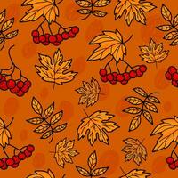 Herbst nahtlos Muster. Trauben von fallen Eberesche rot Beere auf Orange Hintergrund mit Gelb Blätter. Vektor herbstlich Illustration zum Design, Verpackung, Hintergrund und Textil.