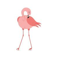 rosa flamingo tecknad serie illustration isolerat i vit bakgrund. sommar djur- illustration vektor