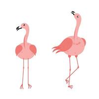 Rosa Flamingo Karikatur Illustration isoliert im Weiß Hintergrund. Sommer- Tier Illustration vektor