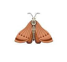 Hand gemalt Illustration mit hell Schmetterling. Insekt Clip Art. dekorativ Flügel. Sommer- und Frühling Illustration vektor