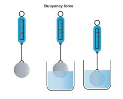 arkimedes bärighet princip, flytande tvinga. vektor