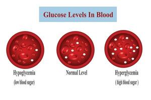 Glucose Blut Niveau Zucker prüfen. Diabetes Insulin Hypoglykämie oder Hyperglykämie Diagramm Symbol. Vektor Illustration