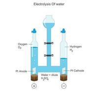 elektrolys av vatten vektor