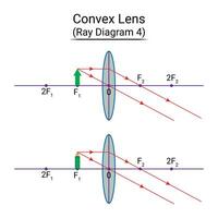 konvex lins stråle diagram 4 vektor