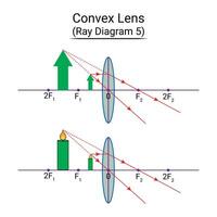 konvex lins stråle diagram 5 vektor
