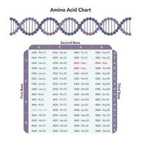 amino syra kodon tabell genomet vetenskaper vektor grafisk