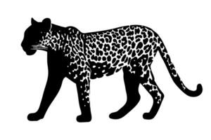 Jaguar Silhouette isoliert auf Weiß Hintergrund. Vektor Illustration