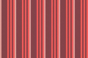 mönster bakgrund tyg av sömlös textur vertikal med en rand textil- rader vektor. vektor