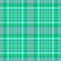 bakgrund tyg mönster av textur pläd kolla upp med en tartan vektor textil- sömlös.