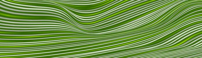 Grün Weiß gebogen glatt wellig Linien abstrakt Hintergrund vektor
