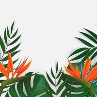 naturligt realistiskt grönt palmblad med strelitzia blomma tropisk bakgrund. vektor illustration eps10