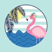 niedliche rosa Flamingo Sommer Hintergrund Vektor-Illustration vektor