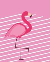 niedliche rosa Flamingo Sommer Hintergrund Vektor-Illustration vektor