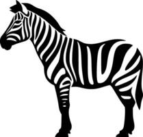 Zebra - - schwarz und Weiß isoliert Symbol - - Vektor Illustration